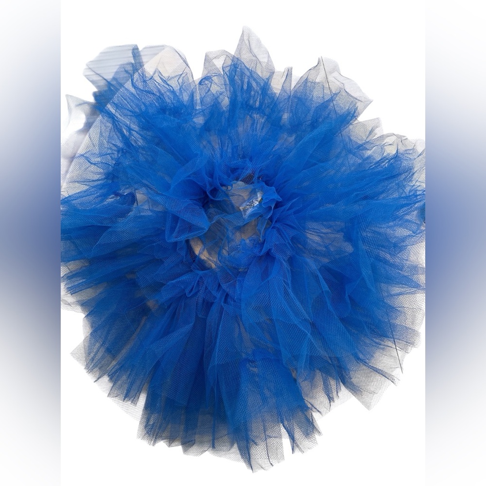 Curtain Call Costumes Blue Tutu